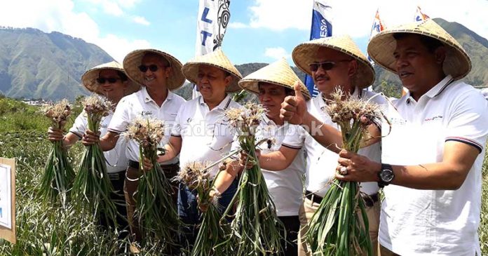 PKT Berhasil Tingkatkan Produksi Bawang Putih Sembalun