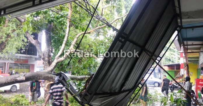 Pohon Tumbang Timpa Toko Oleh-oleh di Kota Mataram