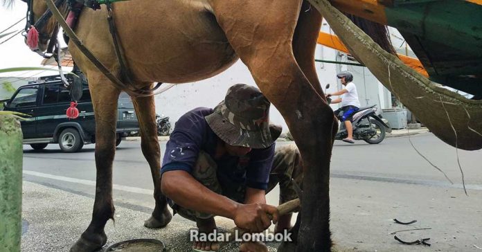 Kisah Zohri, Tukang Sol Sepatu Kuda di Mataram