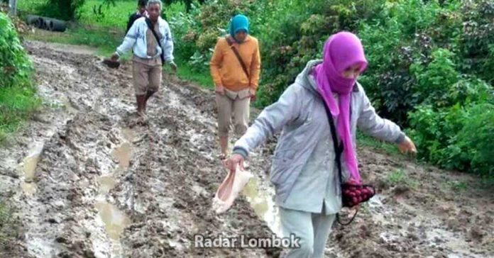 Guru Pinggiran di Lombok Timur Keluhkan Kondisi Jalan