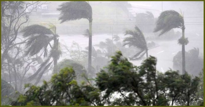 Ilustrasi Siklon Tropis Joyce