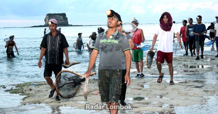 Bau Nyale, Ribuan Masyarakat Lombok Padati Pantai Kaliantan